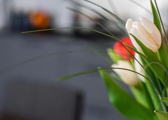 Hermes Premium - Billberry *